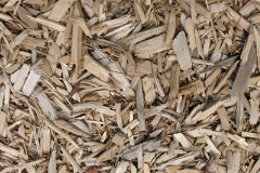 biomass boilers Straiton